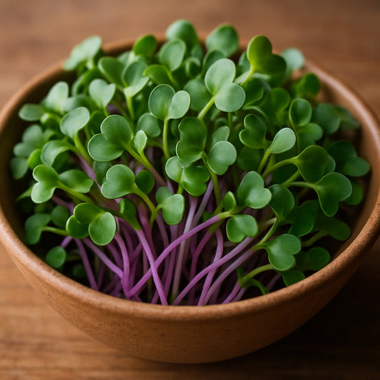 Radish Microgreens